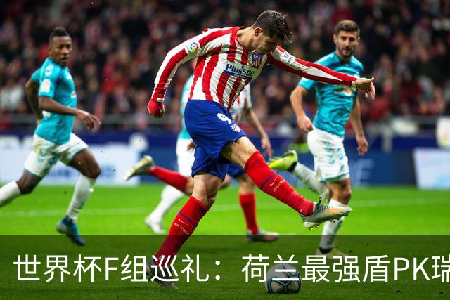 世界杯F组巡礼：荷兰最强盾PK瑞典犀利刀 日本短板明显