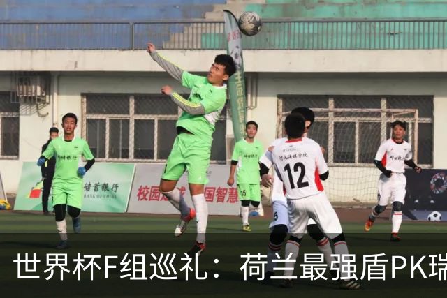世界杯F组巡礼：荷兰最强盾PK瑞典犀利刀 日本短板明显