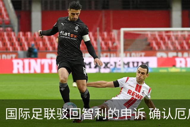 国际足联驳回智利的申诉 确认厄瓜多尔参加世界杯