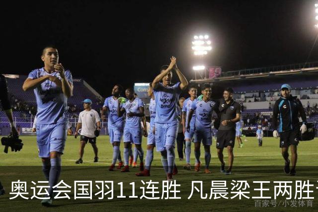 奥运会国羽11连胜 凡晨梁王两胜晋级李诗沣开门红