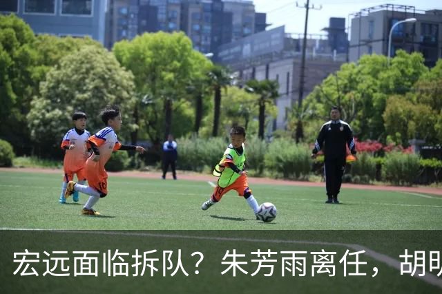 宏远面临拆队？朱芳雨离任，胡明轩徐杰卷入交易传闻，麦考尔白送龙狮！