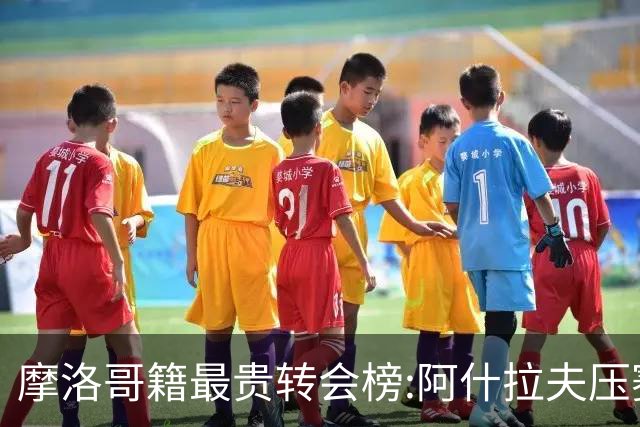 摩洛哥籍最贵转会榜:阿什拉夫压赛巴里居首 齐耶赫、贝纳蒂亚在列