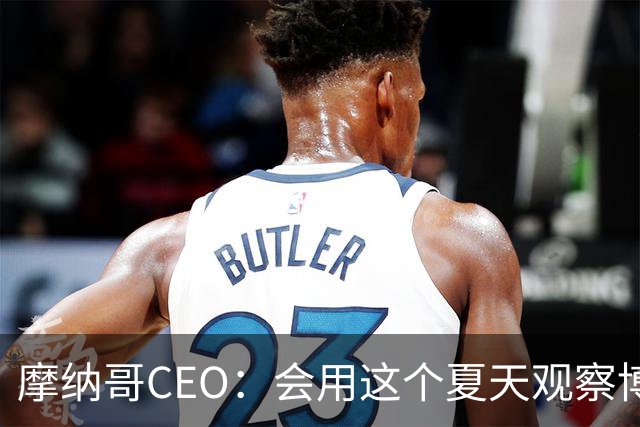 摩纳哥CEO：会用这个夏天观察博格巴的水平，他确实有可能离开