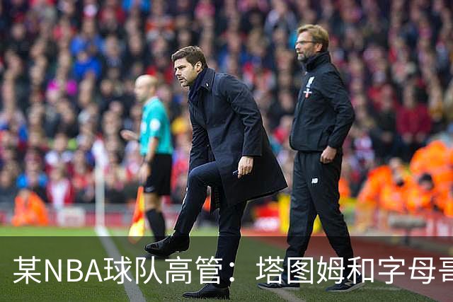 某NBA球队高管：塔图姆和字母哥的上限极高 但是球队会缺乏深度